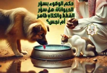 حكم الوضوء بسؤر الحيوانات: هل سؤر القطط والكلاب طاهر أم نجس؟