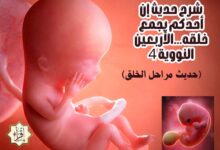 شرح حديث إن أحدكم يجمع خلقه…الأربعين النووية 4